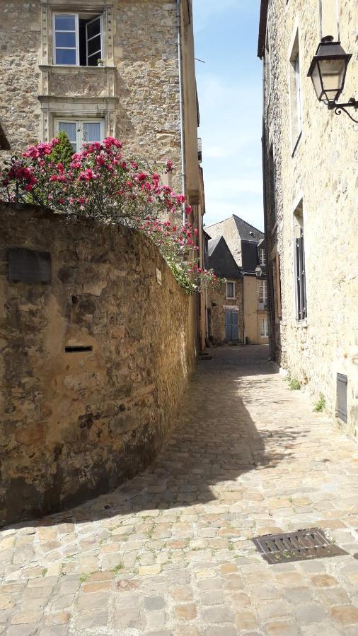 Petite Maison Romantique Au Calme, Coeur Historique Plantagenet, Vue Ville Льо Ман Екстериор снимка